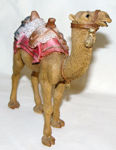 Picture of Camel