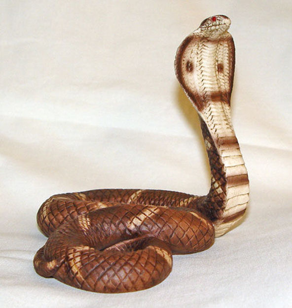 Picture of Cobra snake