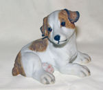 Picture of Dog - Jack Russell