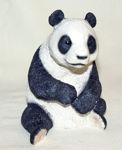 Picture of Panda