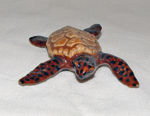 Picture of Sea Turtle