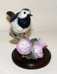 Picture of Wagtail with Geraniums