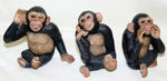 Picture of 3 little monkeys  - I don't see - I don't hear - I don't speak