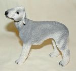 Picture of Bedlington terrier Dog