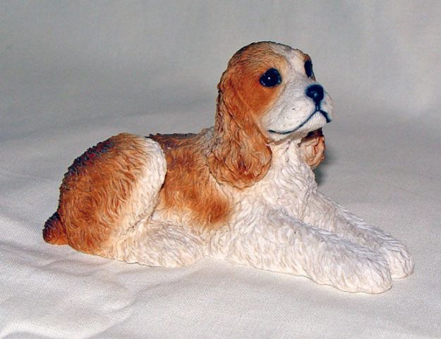 Picture of Dog - Cocker